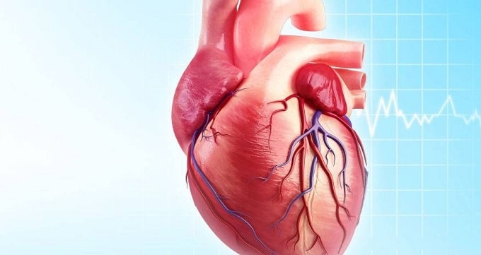 گرفتگی رگ قلب چیست ؟